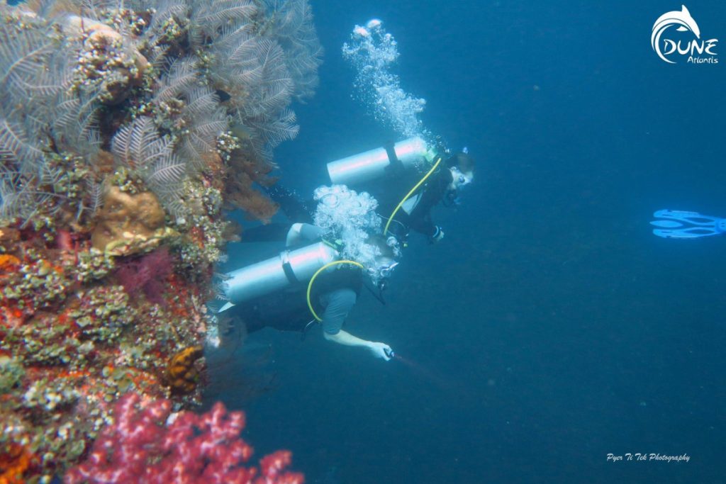 La Différence entre un plongeur sous-marin et un plongeur en eau libre