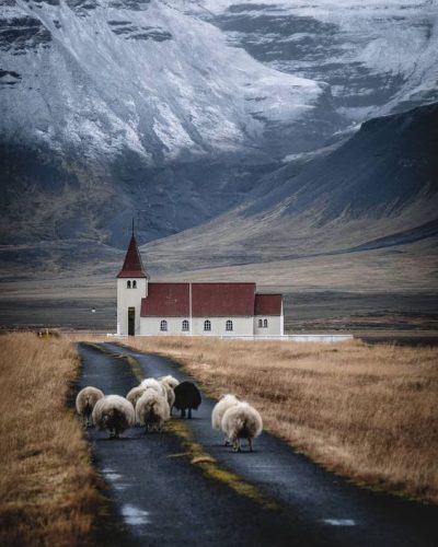 L’Islande oh l’Islande, un pays magique que vous pouvez visiter sur la terre !