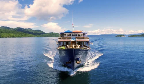 Diving cruise in Indonesia